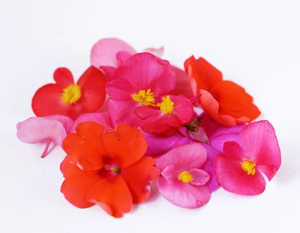 Jadalne Kwiaty Sałatek Deserów — Zdjęcie stockowe