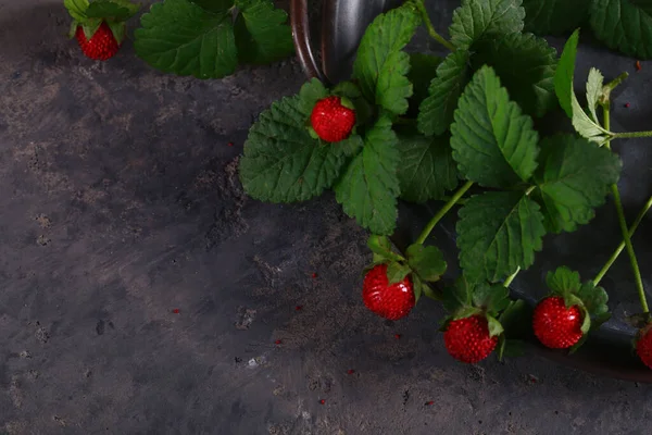 Fresas Naturales Bayas Silvestres Una Mesa Madera —  Fotos de Stock