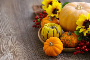 Dekorasyon için taze balkabaklarıyla sonbahar durgun hayatı