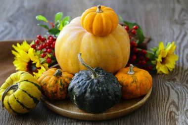 Dekorasyon için taze balkabaklarıyla sonbahar durgun hayatı