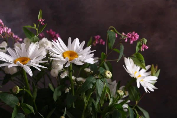 Boeket Madeliefjes Wilde Wilde Bloemen — Stockfoto