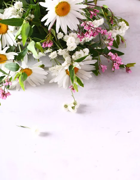 Strauß Von Gänseblümchen Und Wildblumen — Stockfoto