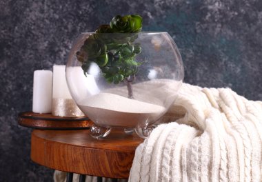 Konfor için canlı floraryumlu iç tasarım.