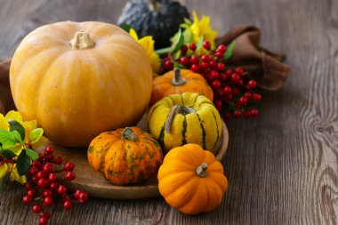 Dekorasyon için taze balkabaklarıyla sonbahar durgun hayatı