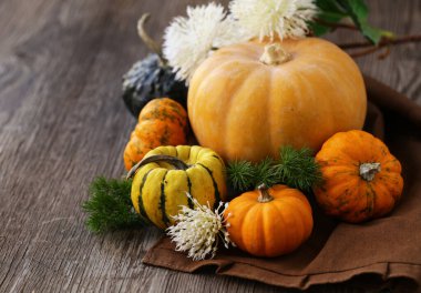 Dekorasyon için taze balkabaklarıyla sonbahar durgun hayatı