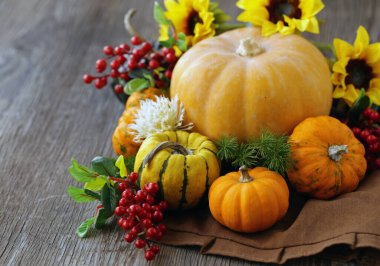 Dekorasyon için taze balkabaklarıyla sonbahar durgun hayatı