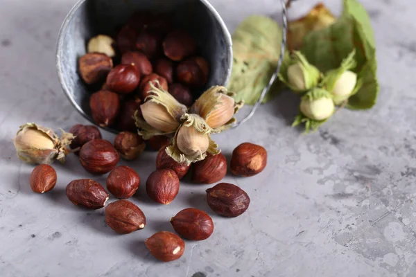 Naturlig Ekologisk Hasselnöt För Hälsosam Kost — Stockfoto