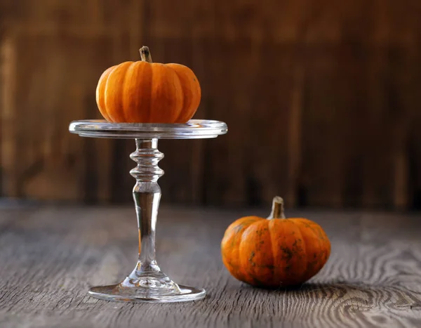 Automne Nature Morte Avec Des Citrouilles Fraîches Pour Décoration — Photo