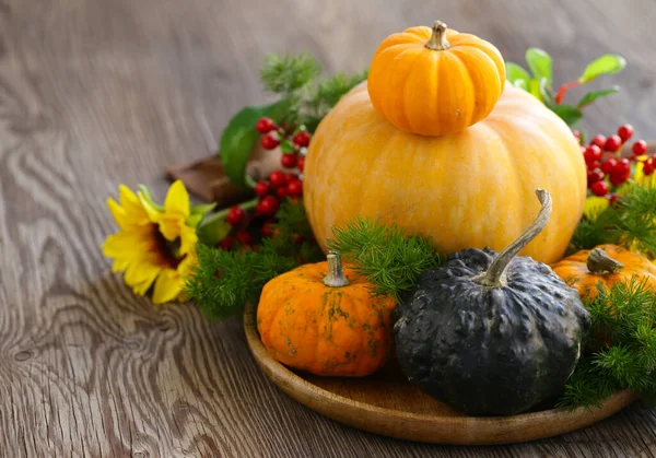 Automne Nature Morte Avec Des Citrouilles Fraîches Pour Décoration — Photo