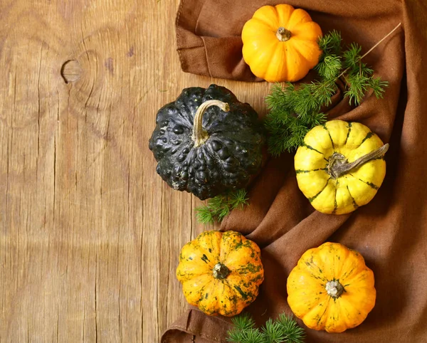 Naturaleza Muerta Otoño Con Calabazas Frescas Para Decoración —  Fotos de Stock