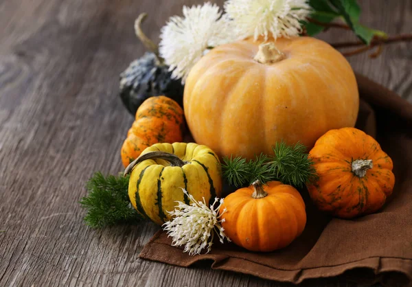 Automne Nature Morte Avec Des Citrouilles Fraîches Pour Décoration — Photo