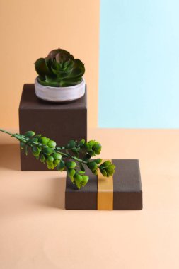 Dekor hala hayat minimalizmi modern stil