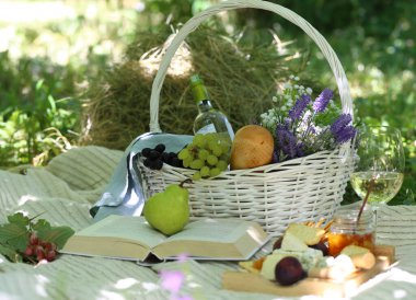 Gıda pikniği yeşil çimlerde