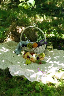 Gıda pikniği yeşil çimlerde