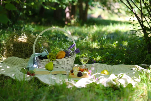 Voedsel Picknick Natuur Groen Gras — Stockfoto