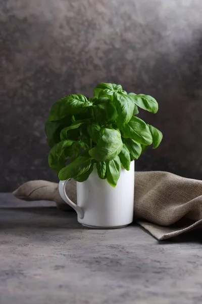 Fresh Ripe Organic Green Basil — Stock Photo, Image