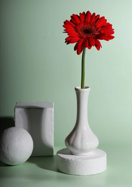 Κόκκινο Λουλούδι Gerbera Στη Σύγχρονη Νεκρή Φύση — Φωτογραφία Αρχείου