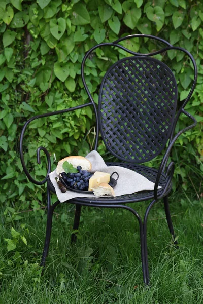 緑の芝生の上でチーズとブドウでピクニック — ストック写真
