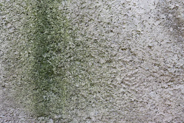 Fundo Parede Concreto Velho Com Molde Verde — Fotografia de Stock