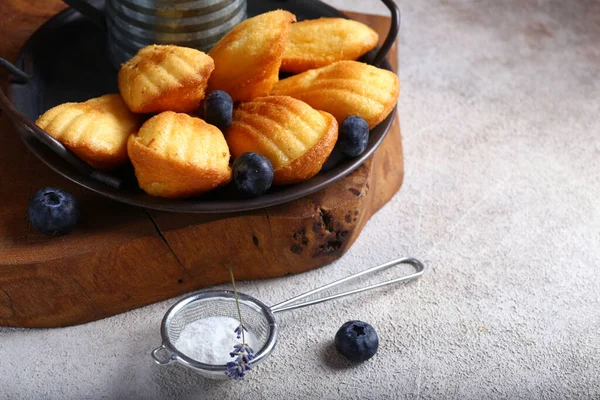 Galletas Madeleine Tradicionales Francesas Con Lavanda — Foto de Stock