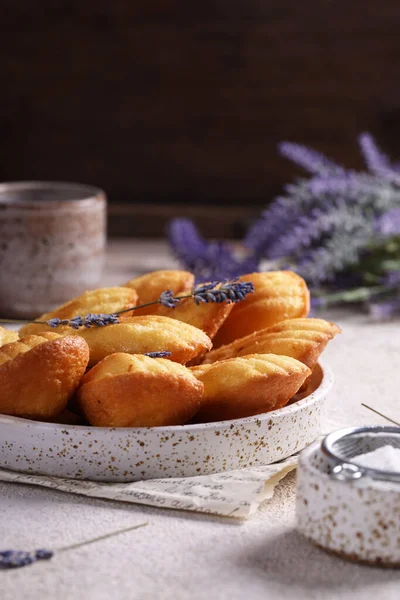 Galletas Madeleine Tradicionales Francesas Con Lavanda — Foto de Stock