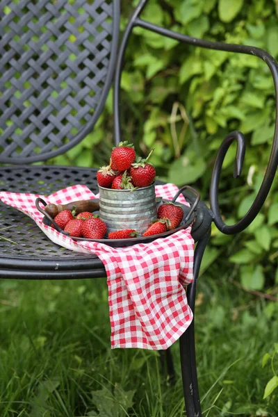 Morangos Vermelhos Orgânicos Maduros Uma Caneca Ferro — Fotografia de Stock