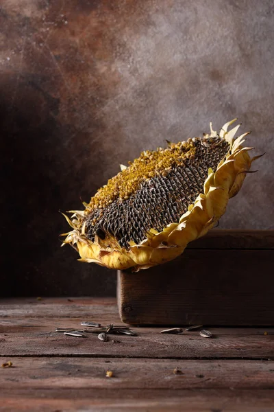 Stillleben Reife Bio Sonnenblume — Stockfoto