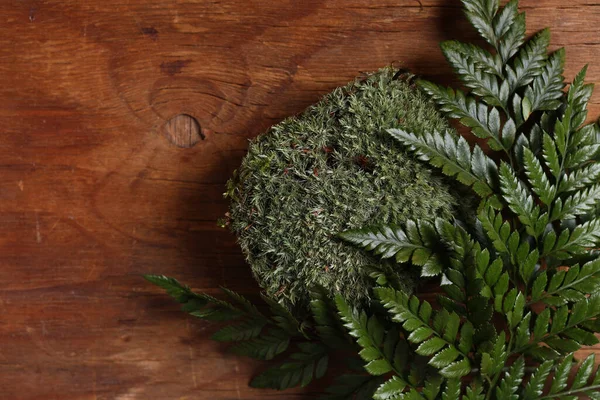 Groene Takken Bladeren Voor Biologische Achtergrond — Stockfoto