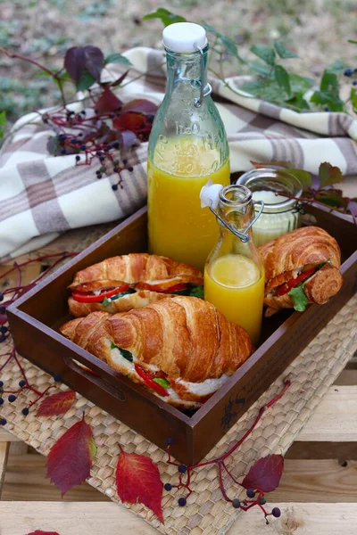 Piquenique Com Sanduíche Croissant Suco Laranja — Fotografia de Stock