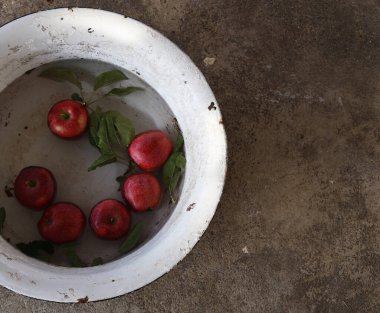 Suda olgun organik kırmızı elmalar