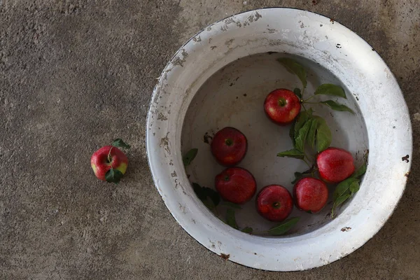 Reife Rote Bio Äpfel Wasser — Stockfoto