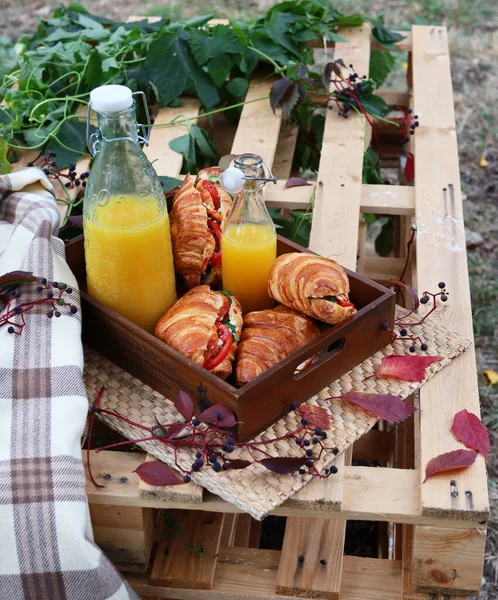 Picknick Mit Croissant Sandwich Und Orangensaft — Stockfoto