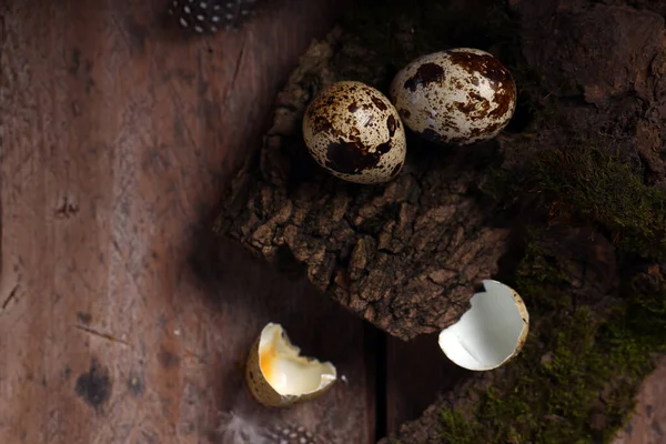 Still Life Egg Decor Easter — Stock Photo, Image