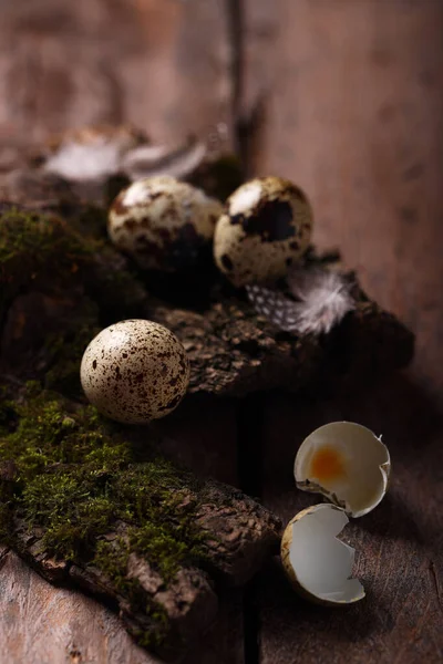 Still Life Egg Decor Easter — Stock Photo, Image