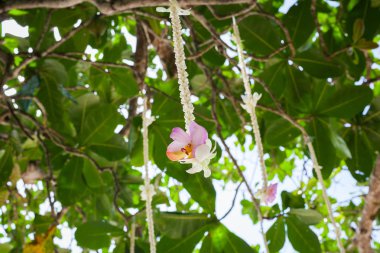 Sahildeki bir düğün töreninde çiçek aranjmanı..