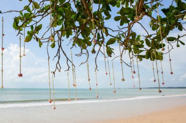 Sahildeki bir düğün töreninde çiçek aranjmanı..
