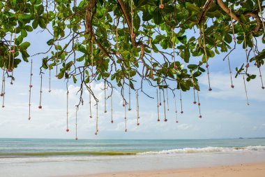 Sahildeki bir düğün töreninde çiçek aranjmanı..