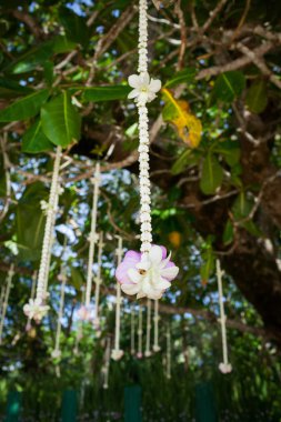 Sahildeki bir düğün töreninde çiçek aranjmanı..