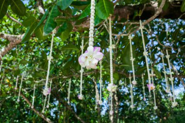 Sahildeki bir düğün töreninde çiçek aranjmanı..