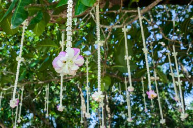 Sahildeki bir düğün töreninde çiçek aranjmanı..