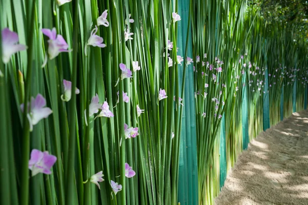 Blomsterarrangemang Vid Bröllopsceremoni Stranden — Stockfoto