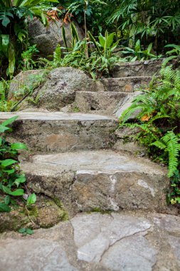 Kho Samui, Tayland, Thailand, parkta yürüyüş yolu.