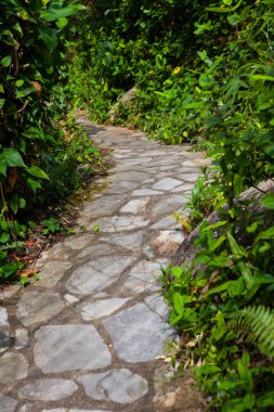 Kho Samui, Tayland, Thailand, parkta yürüyüş yolu.