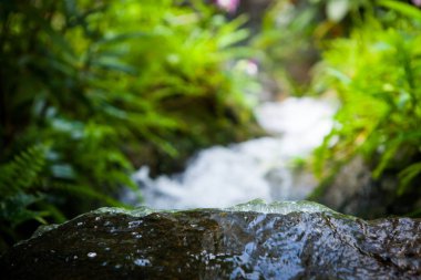 Tayland Garden'da akan küçük dere.