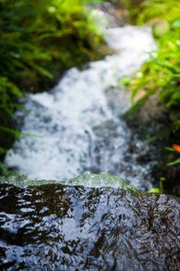 Tayland Garden'da akan küçük dere.