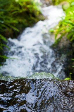 Tayland Garden'da akan küçük dere.