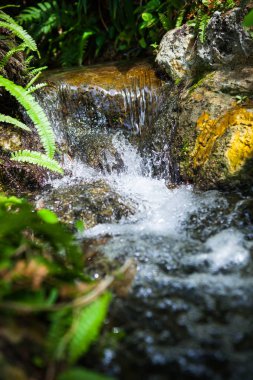 Tayland Garden'da akan küçük dere.