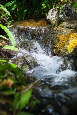 Tayland Garden'da akan küçük dere.