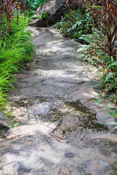 Jalan Taman Kho Samui Thailand — Stok Foto