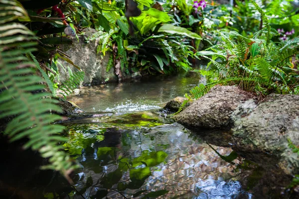 Pequeno Fluxo Fluindo Jardim Tailândia — Fotografia de Stock